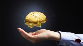 Cervello e mano | Psicologia cognitiva applicata