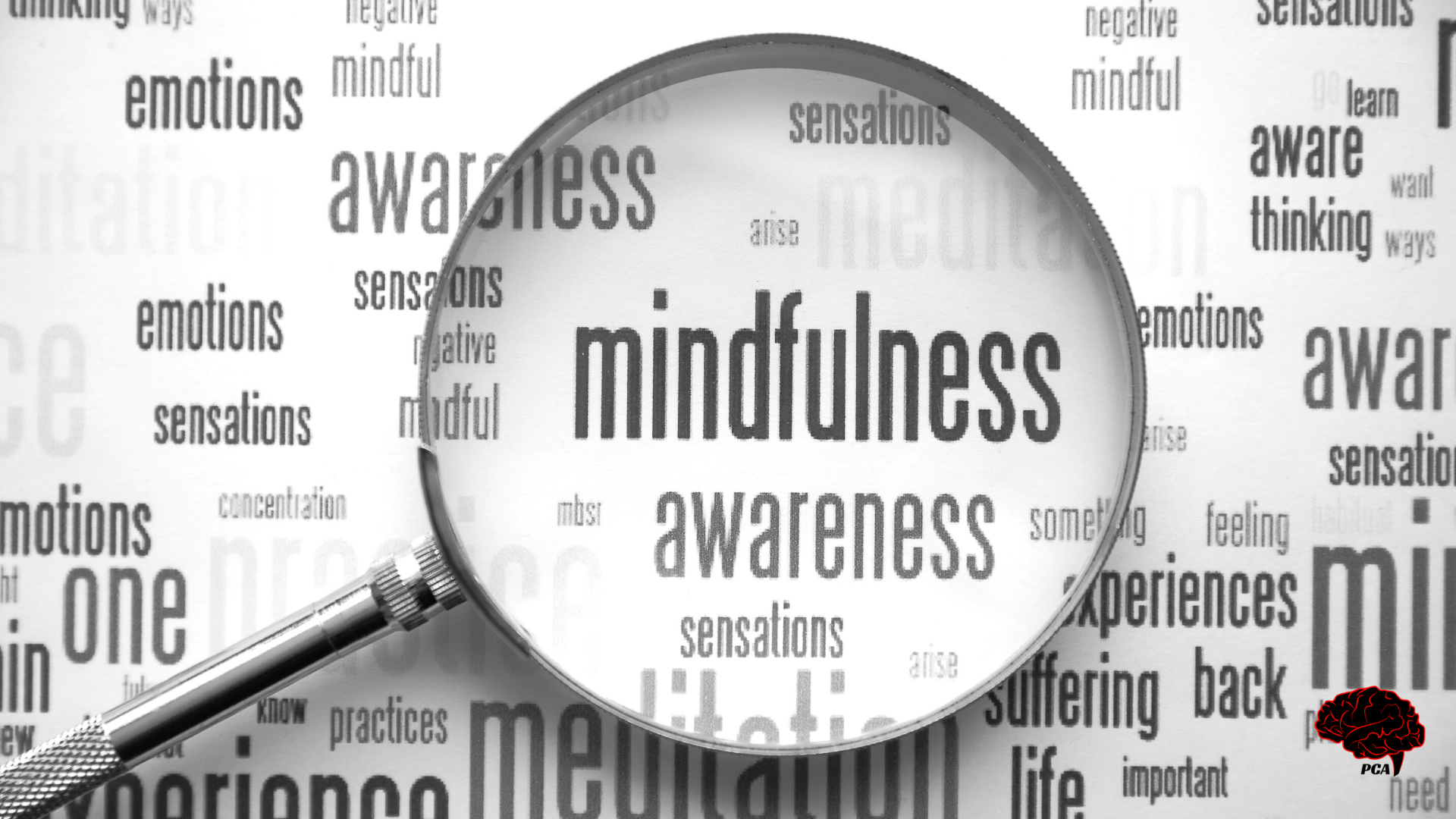 Mindfulness_ tra meditazione ed efficacia clinica. Psicologia Cognitiva Applicata