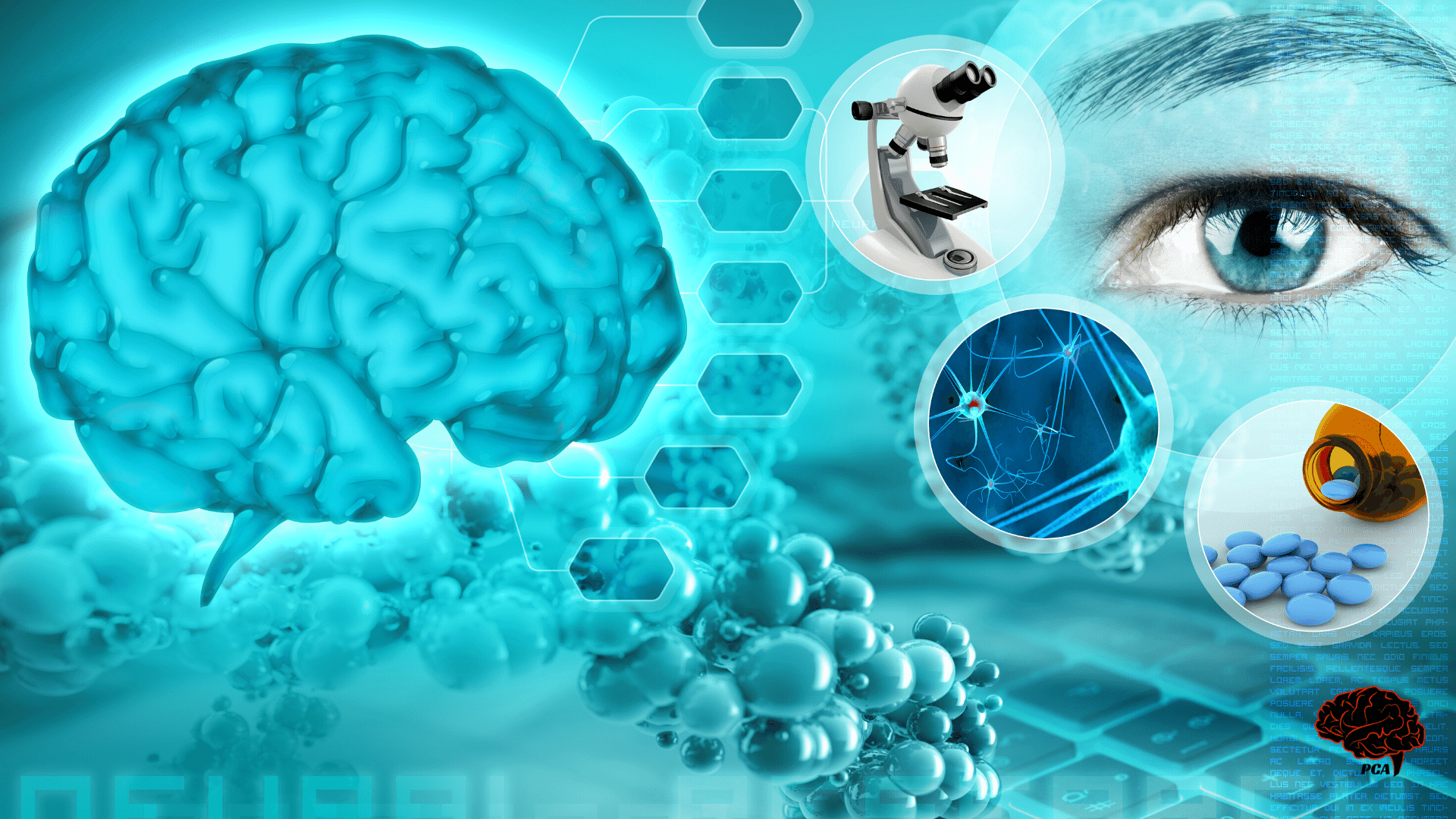 Le neuroscienze cognitive tra Cervello, neuroni e nootropi | Psicologia Cognitiva Applicata